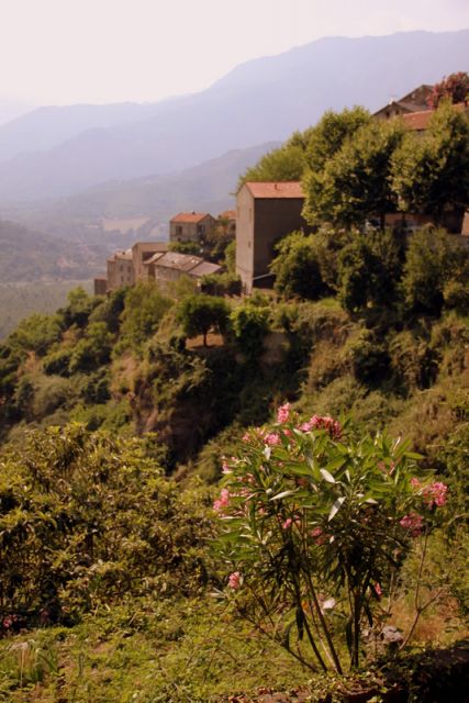 2010 07 09 jeanmarcperfetti.com 023.JPG